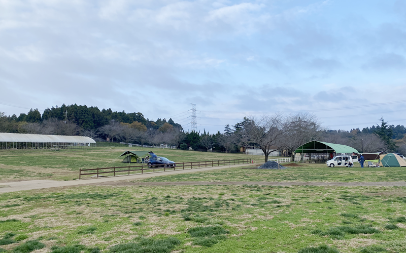 成田ゆめ牧場の風景